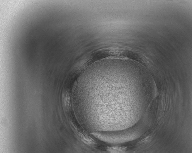 X0000059800137200510281649