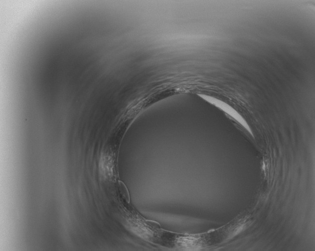 X0000059800139200510281649