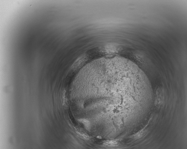 X0000059800140200510281649