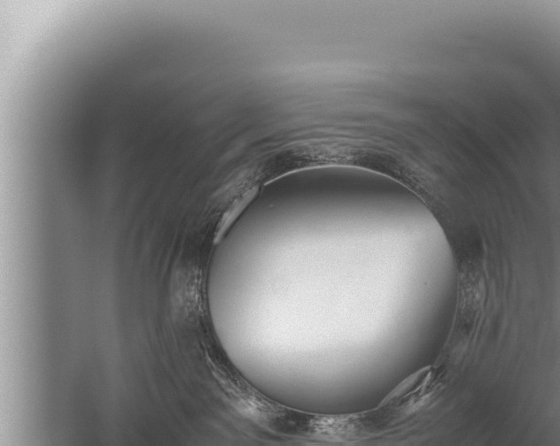 X0000059800141200510281649