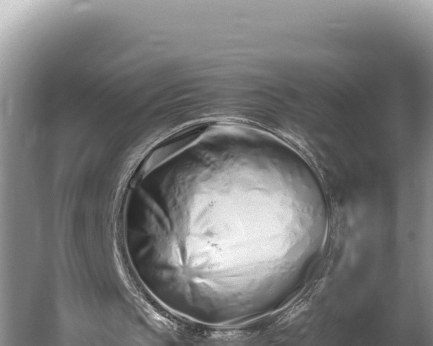 X0000059800145200510281648