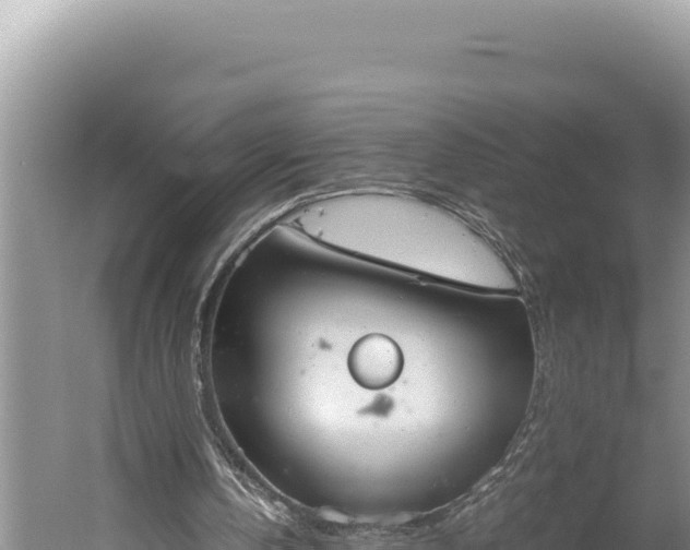 X0000059800146200510281648