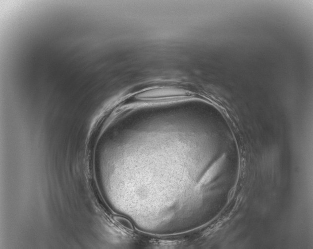 X0000059800149200510281648