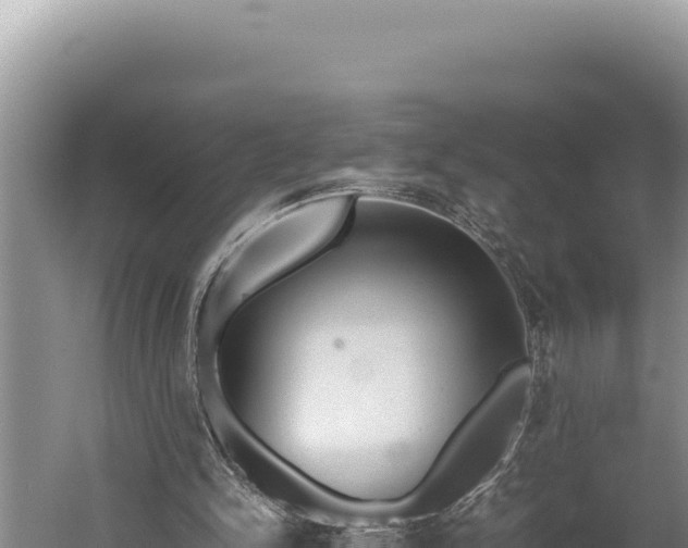 X0000059800150200510281648