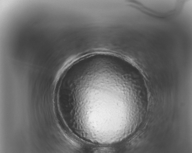 X0000059800151200510281648