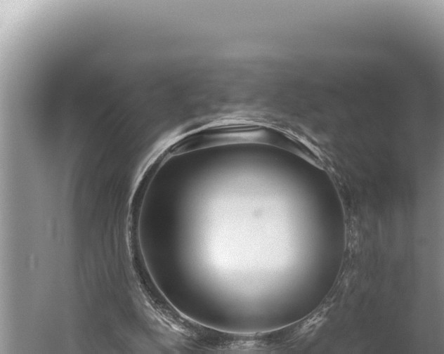 X0000059800152200510281648