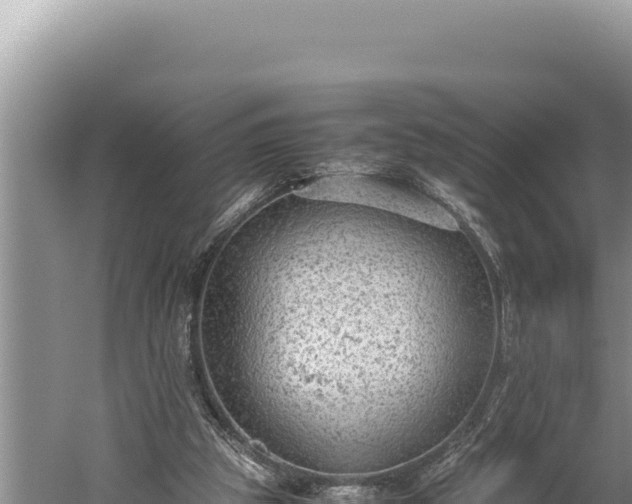 X0000059800153200510281648