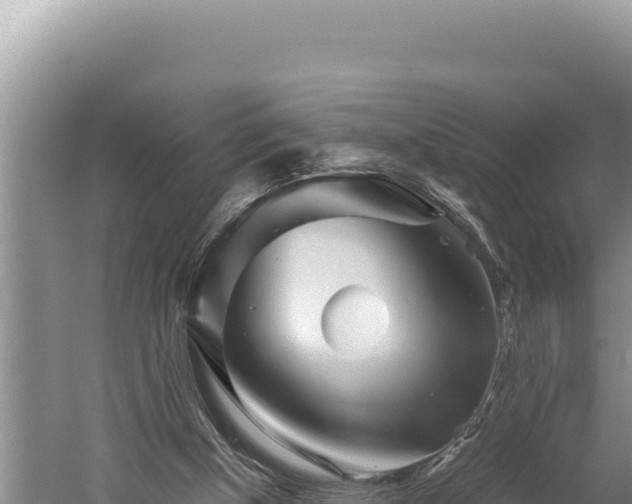 X0000059800154200510281648