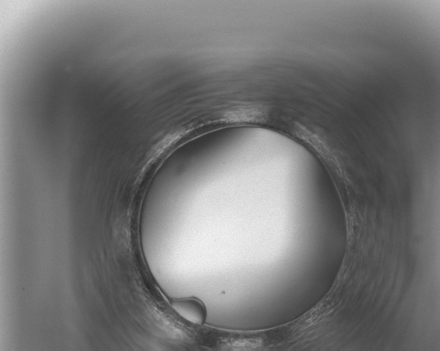 X0000059800155200510281648