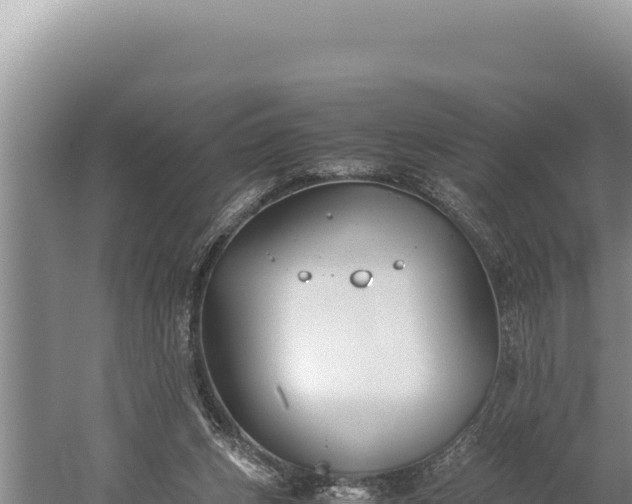 X0000059800159200510281648