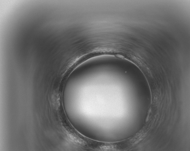 X0000059800160200510281648