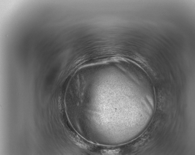 X0000059800161200510281648