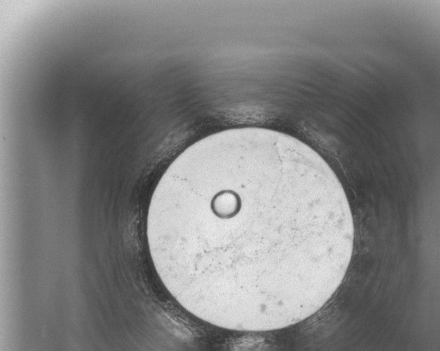 X0000059800162200510281648