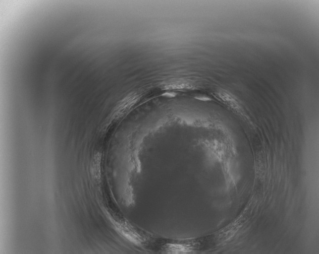 X0000059800167200510281648