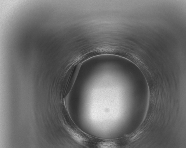 X0000059800168200510281648