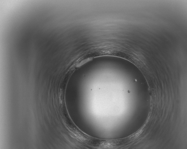 X0000059800174200510281648