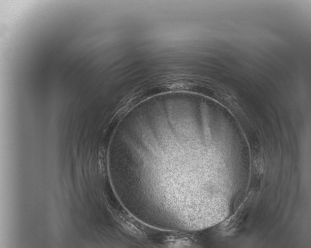 X0000059800175200510281648