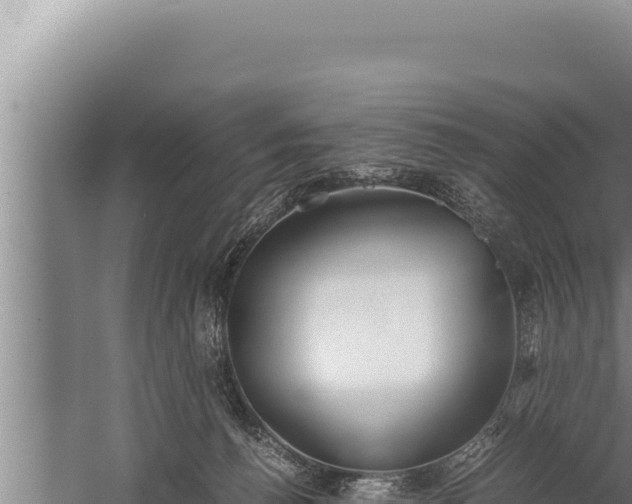 X0000059800176200510281648