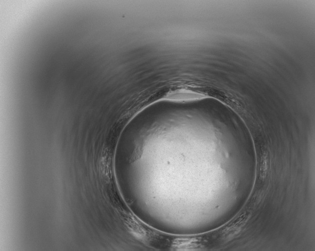 X0000059800177200510281648