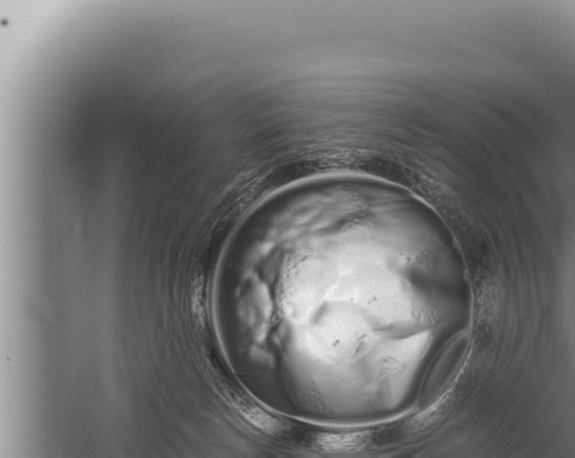 X0000059800178200510281648