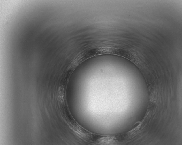 X0000059800179200510281648