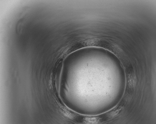 X0000059800181200510281648