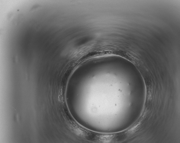 X0000059800182200510281648