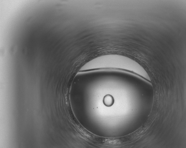 X0000059800185200510281648