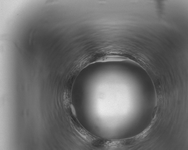 X0000059800186200510281648