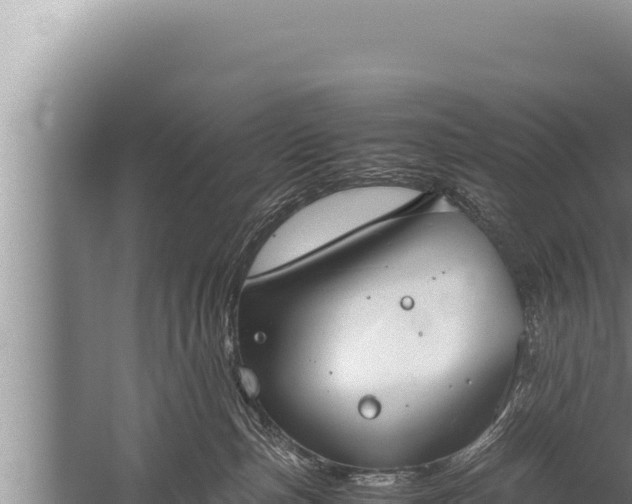 X0000059800187200510281648