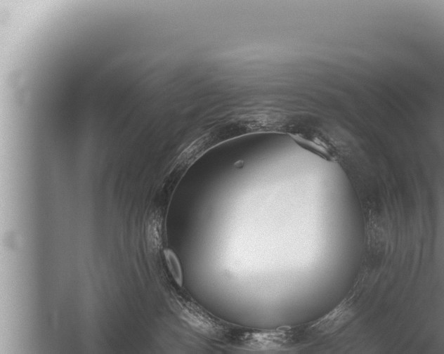 X0000059800188200510281648