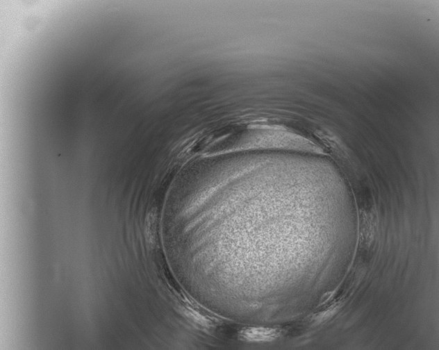 X0000059800189200510281648