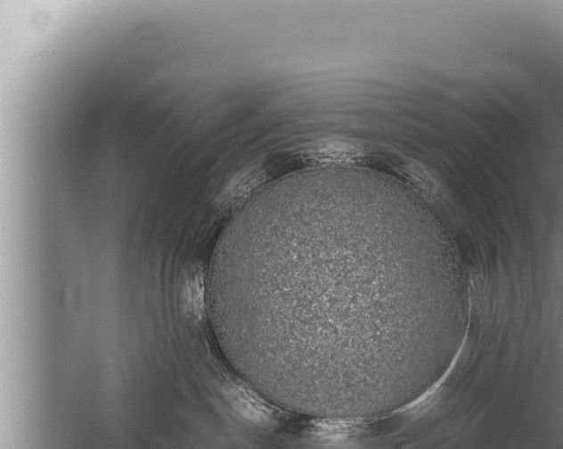 X0000059800190200510281649