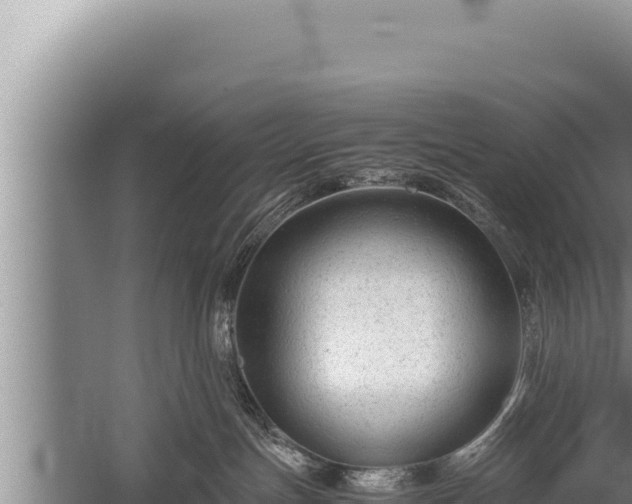 X0000059800191200510281649