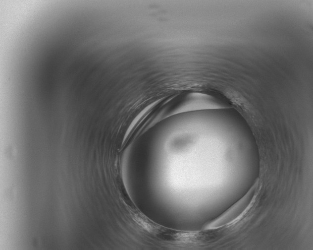 X0000059800192200510281649