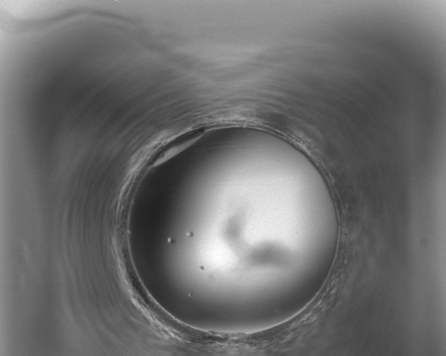 X0000059800193200510281648