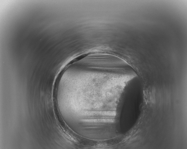 X0000059800196200510281648