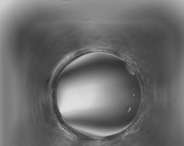 X0000059800197200510281648