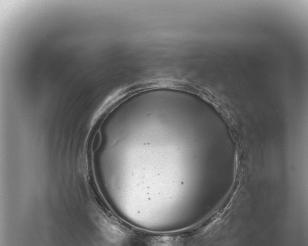 X0000059800198200510281648