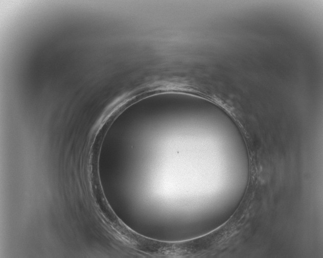 X0000059800199200510281648