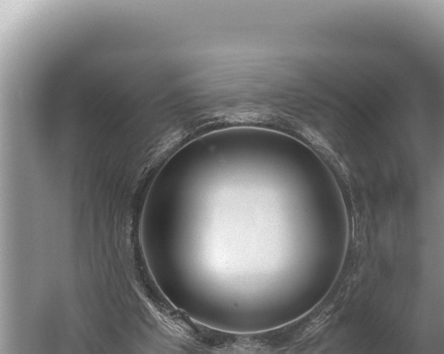 X0000059800201200510281648