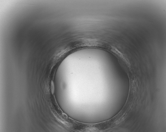 X0000059800203200510281648