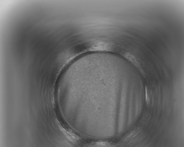 X0000059800204200510281648