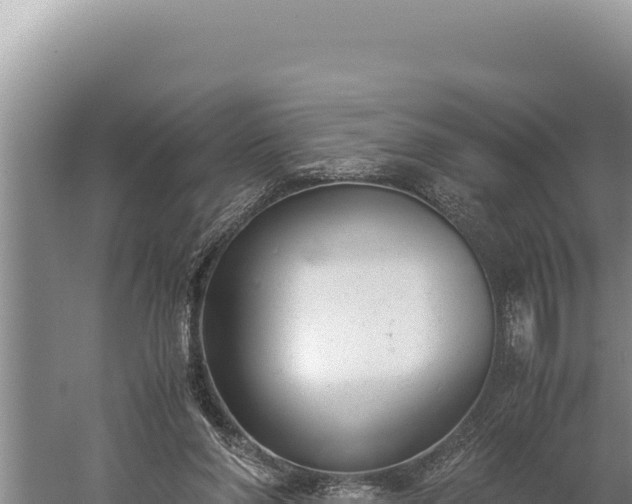 X0000059800206200510281647