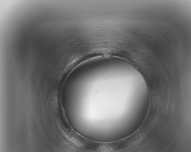 X0000059800207200510281647