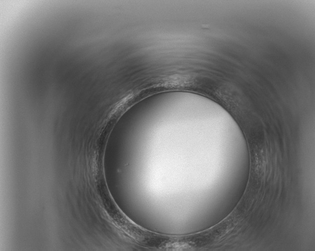 X0000059800208200510281647