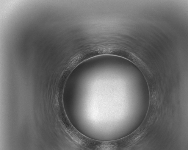 X0000059800209200510281647