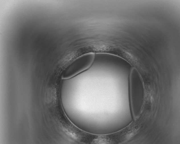 X0000059800211200510281647