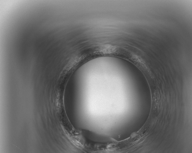 X0000059800212200510281647