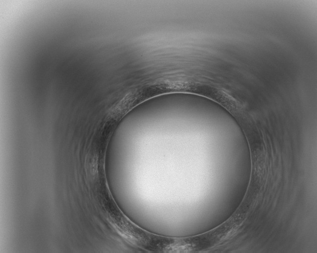 X0000059800213200510281647